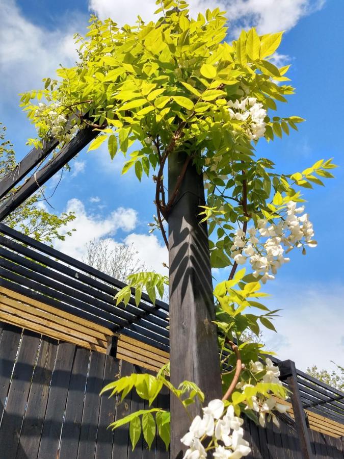 Finca Vrij 샤렌디크 외부 사진